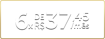 6 meses